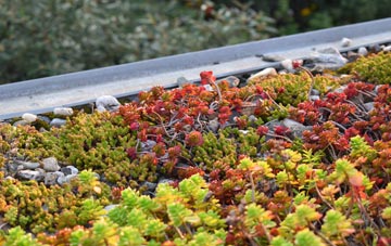 the cost of Dun green roof installation