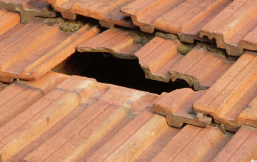 roof repair Dun, Angus